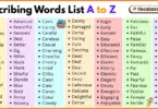 Describing Words List A to Z in English with Pictures