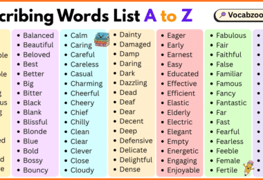Describing Words List A to Z in English with Pictures