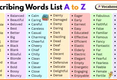 Describing Words List A to Z in English with Pictures