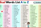 Medical Words List A to Z in English with Pictures