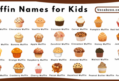Muffin Names for Kids in English with Pictures