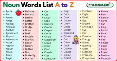 Noun List A to Z in English with Pictures