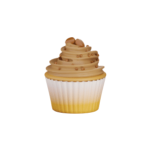 Peanut Butter Muffin