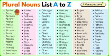 Plural Nouns List A to Z in English with Pictures