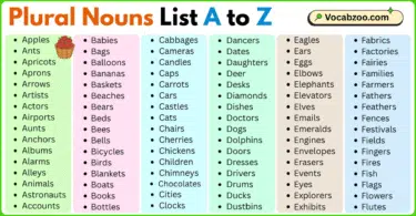 Plural Nouns List A to Z in English with Pictures