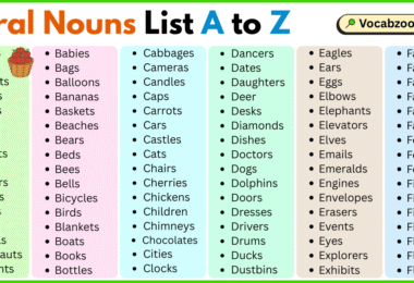 Plural Nouns List A to Z in English with Pictures