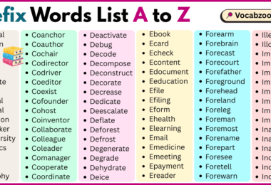 Prefix Words List A to Z in English with Pictures