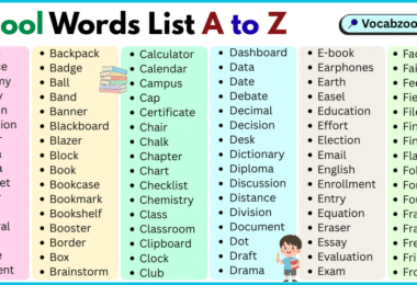 School Words List A to Z in English with Pictures