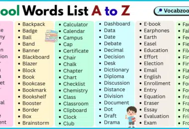 School Words List A to Z in English with Pictures