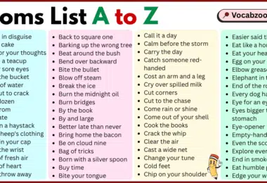 Similar Words List A to Z in English with Pictures