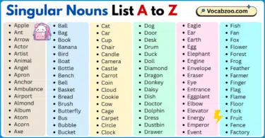 Singular Nouns List A to Z in English with Pictures