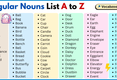 Singular Nouns List A to Z in English with Pictures