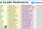 1st Grade Sentences with PDF in English