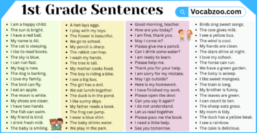 1st Grade Sentences with PDF in English