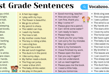 1st Grade Sentences with PDF in English