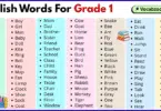 200 English words for grade 1 with pictures and PDF