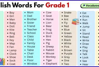 200 English words for grade 1 with pictures and PDF