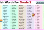 200 English words for grade 2 with pictures and PDF