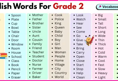 200 English words for grade 2 with pictures and PDF