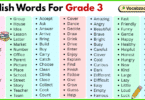 200 English words for grade 3 with pictures and PDF