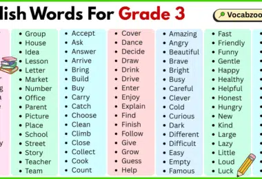 200 English words for grade 3 with pictures and PDF
