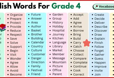 200 English words for grade 4 with pictures and PDF