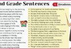 2nd Grade Sentences with PDF in English