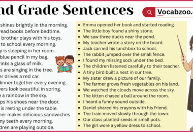 2nd Grade Sentences with PDF in English