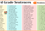 3rd Grade Sentences with PDF in English