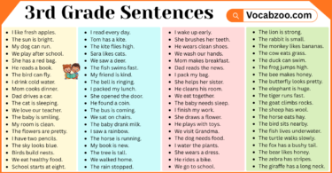 3rd Grade Sentences with PDF in English