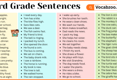 3rd Grade Sentences with PDF in English