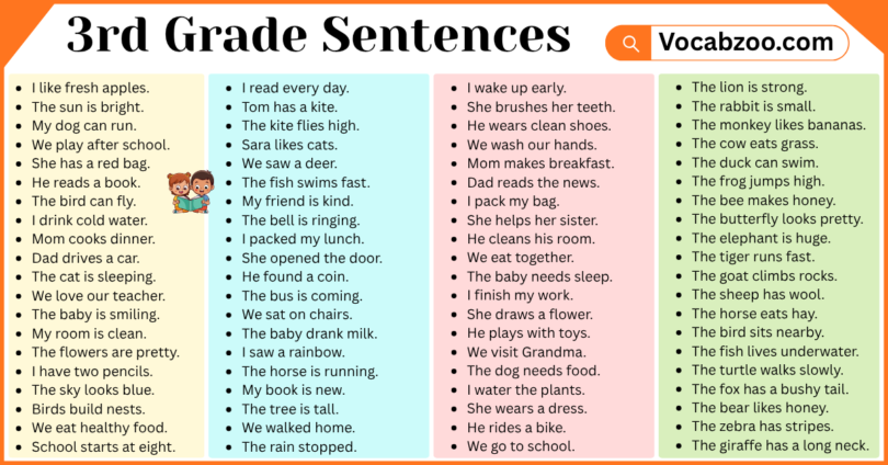 3rd Grade Sentences with PDF in English