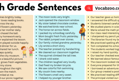 4th Grade Sentences with PDF in English