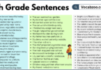 5th Grade Sentences with PDF in English