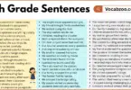 6th Grade Sentences with PDF in English