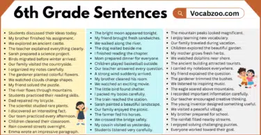 6th Grade Sentences with PDF in English
