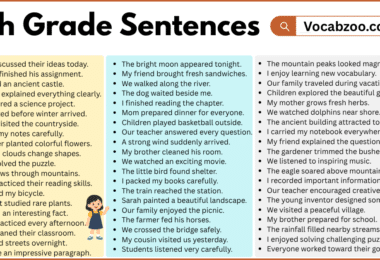 6th Grade Sentences with PDF in English