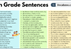 7th Grade Sentences with PDF in English