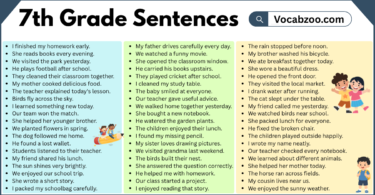 7th Grade Sentences with PDF in English