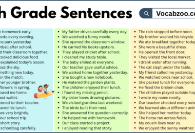 7th Grade Sentences with PDF in English