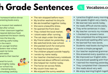 8th Grade Sentences with PDF in English