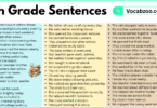 9th Grade Sentences with PDF in English