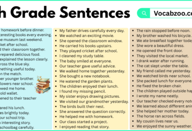 9th Grade Sentences with PDF in English