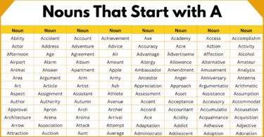 Nouns That Start with A | 1000 Nouns list with Pictures