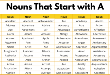 Nouns That Start with A | 1000 Nouns list with Pictures